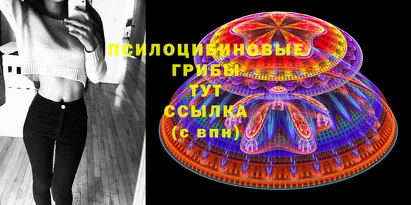 дживик Аркадак