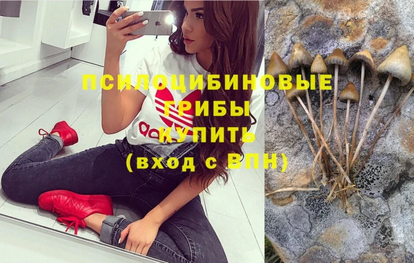 2c-b Алексеевка