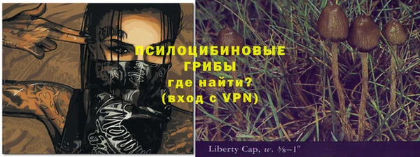 меф Алексин