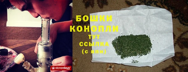 трава Армянск