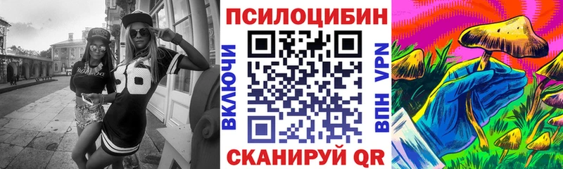 даркнет клад  как найти закладки  Набережные Челны  Псилоцибиновые грибы мицелий 